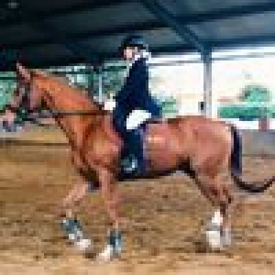 Sophie is looking for a Studio in Tilburg