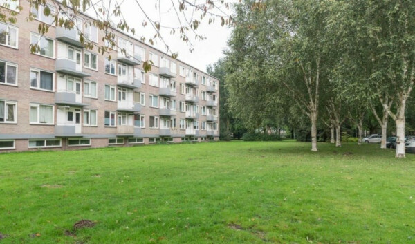 Europalaan