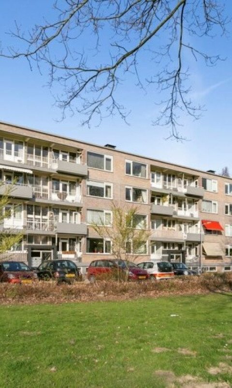 Europalaan