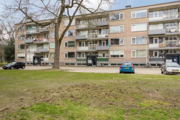 Europalaan, Tilburg