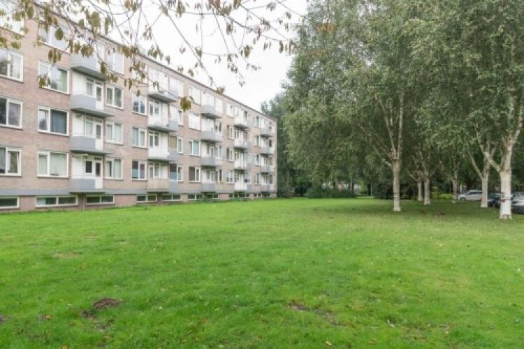 Europalaan, Tilburg