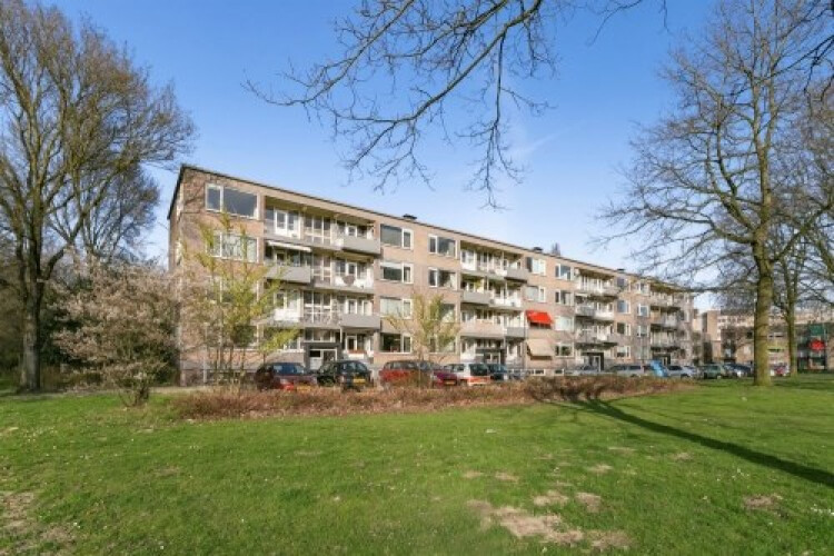 Europalaan, Tilburg
