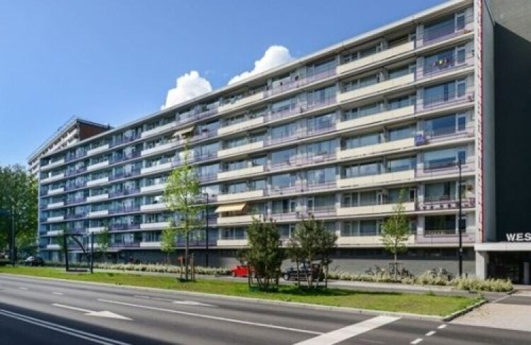 Hart van Brabantlaan, Tilburg