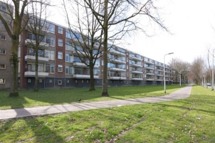 Predikherenlaan, Tilburg